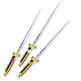 PATHFILE 31mm 016 Pz.6 A0015