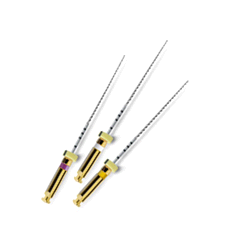 PATHFILE 31mm 016 Pz.6 A0015