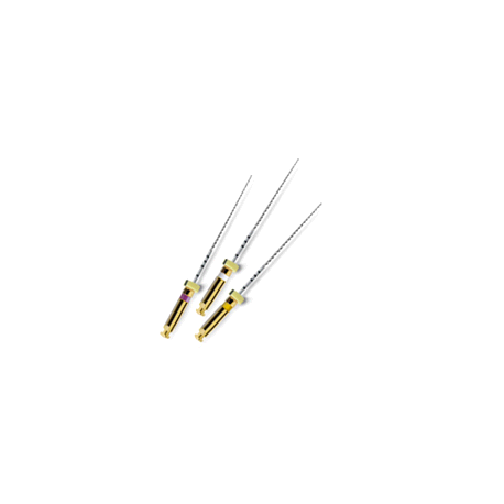 PATHFILE 31mm 016 Pz.6 A0015