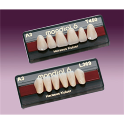 DENTI RESINA MONDIAL X 6