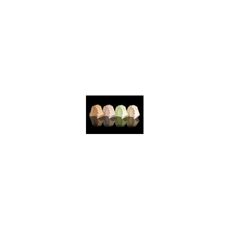 SHERA HARD ROCK MARRONE/ORO 101023-18