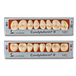 DENTI COMPOSITO CONDYLOFORM NFC 2 X8