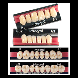 INTEGRAL A1 "UBXS" INF. X 6             