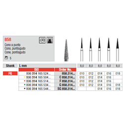 STRUM.858.314.016 STANDARD FG