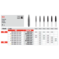 STRUM.863.314.018 STANDARD FG