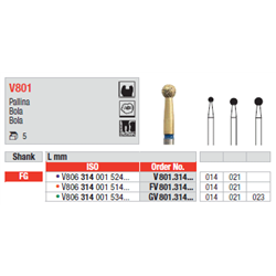 STRUM.V801.314.014 AN. STADARD FG