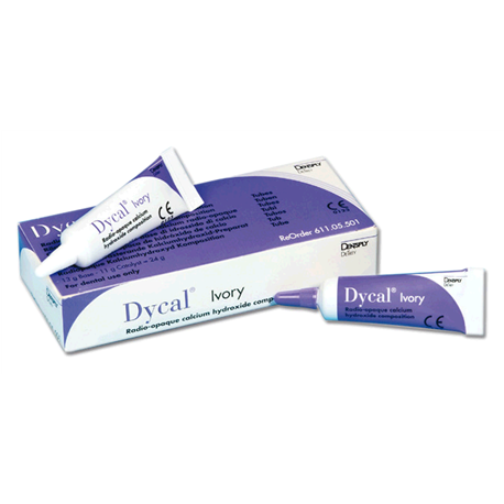 CEMENTO DYCAL TINTA AVORIO g.13x11  $   