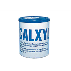 CEMENTO CALXYL BLU BARATTOLO 20gr    $  