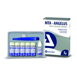 CEMENTO MTA ANGELUS BIANCO 2X0,28gr     