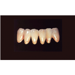 SILVER INCISAL ARANCIONE oz.1