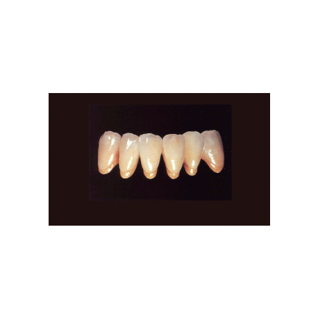 SILVER INCISAL ARANCIONE oz.1
