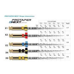 PROTAPER NEXT X5 31mm 6pz               