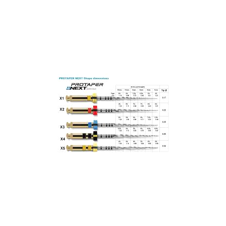 PROTAPER NEXT X5 31mm 6pz               