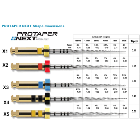 PROTAPER NEXT X3 31mm 6pz               