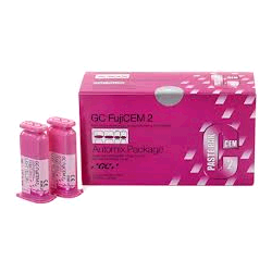 FUJICEM 2 REFILL 2 PASTE CART. 004599