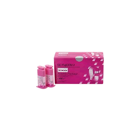 FUJICEM 2 REFILL 2 PASTE CART. 004599