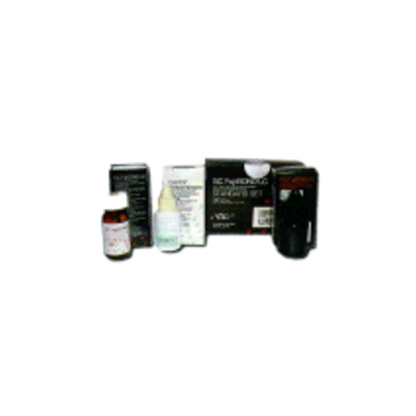 FUJI II POLVERE gr.15 COL.26 A4 000098