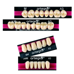 DENTI ARTEGRAL X8