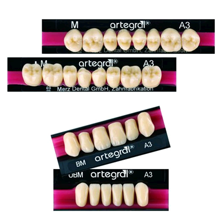 DENTI ARTEGRAL X8