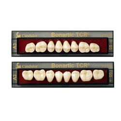 DENTI RESINA TCR BONARTIC X8