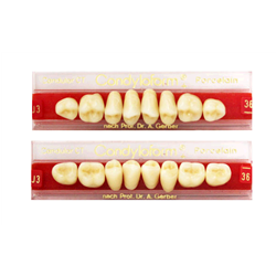 DENTI CERAMICA CONDYLOFORM X8 3070009