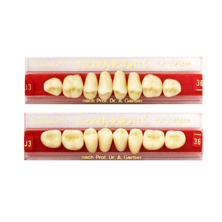 DENTI CERAMICA CONDYLOFORM X8 3070009