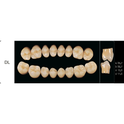 DENTI CREAPERL DIATORICI X8