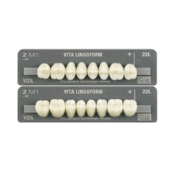 DENTI LINGOFORM X8