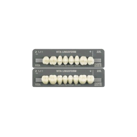 DENTI LINGOFORM X8