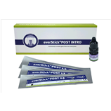 EVERSTICK POST INTRO 100100