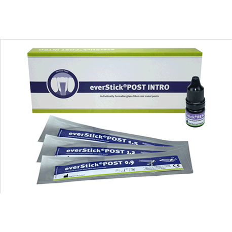 EVERSTICK POST INTRO 100100