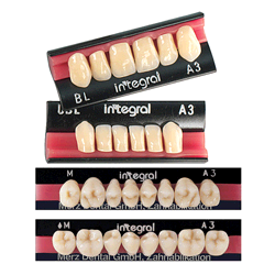 INTEGRAL A1 "UIL" INF. X 6