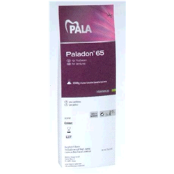 RESINA PALADON 65 POLVERE kg.1 TRASPAR.