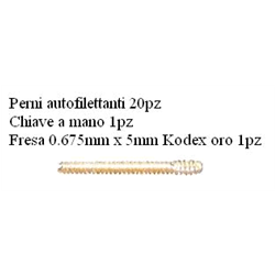 PERNI REGULAR T01 ASSORTIMENTO