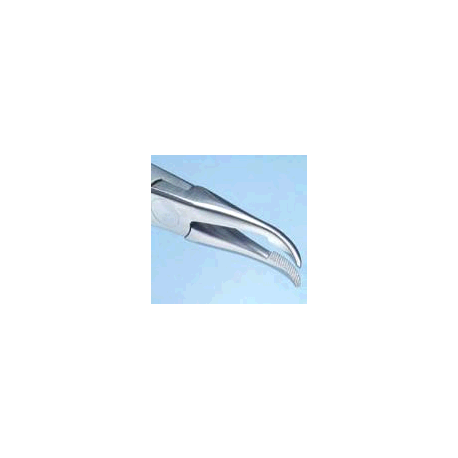 PINZA P1910-00 DI WEINGART