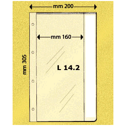 PORTAFILM PANOR.305x160 pz.50