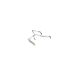 REMBERTI 1262.0001 OCCHIALI