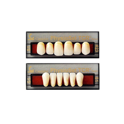 DENTI PHYSIOSET RES. TCR X6 21000000