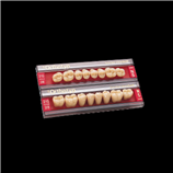 DENTI RESINA SR ORTHOTYP PE X8 3070206 "