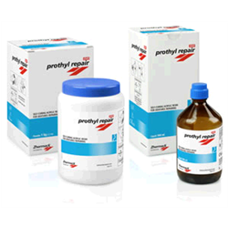 PROTHYL REPAIR EVO POLV. TRASPAR. 1KG