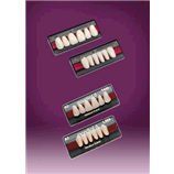 DENTI RESINA PREMIUM X 6