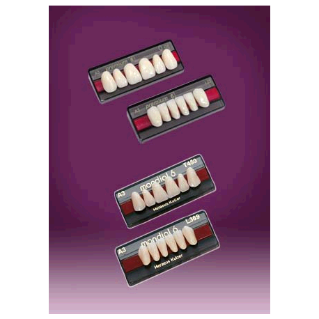 DENTI RESINA PREMIUM X 6 - ALBERTI FORNITURE DENTALI E OSPEDALIERE S.R.L.