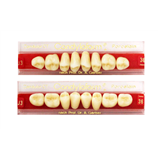 DENTI CERAMICA CONDYLOFORM X8 3070009