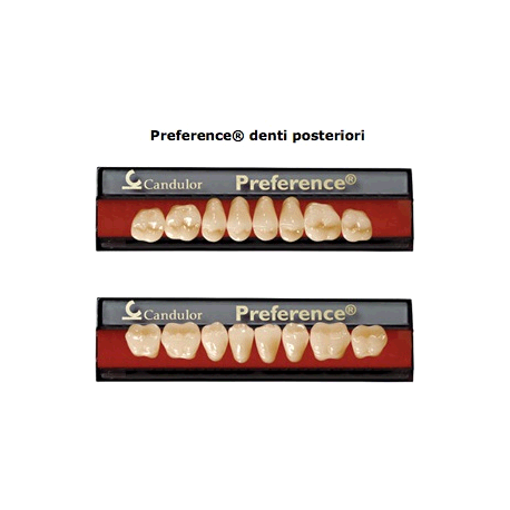 DENTI RESINA PREFERENCE X8