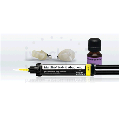 MULTILINK HYBRID ABUTMENT REFILL HO     