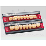 DENTI RESINA SR ORTHOSIT PE X8   "