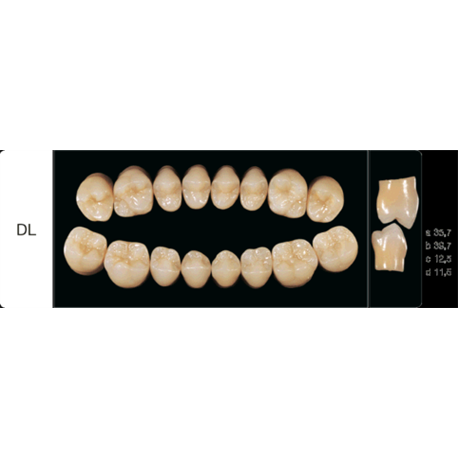 DENTI CREAPERL DIATORICI X8