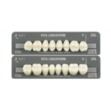 DENTI LINGOFORM X8