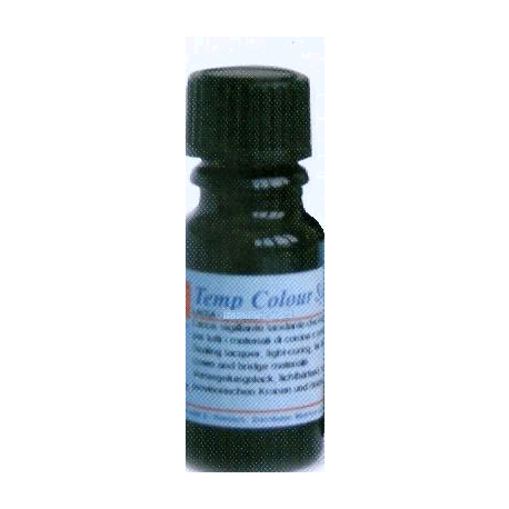 RESINA ENAMEL PLUS TEMP GE1 gr.100  $