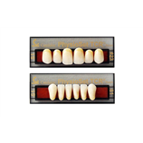 DENTI PHYSIOSET RES. TCR X6 21000000